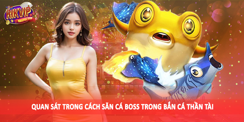 Cách Săn Cá Boss Trong Bắn Cá Thần Tài Hiệu Quả 2025 3 Quan sát trong cách săn cá boss trong bắn cá thần tài