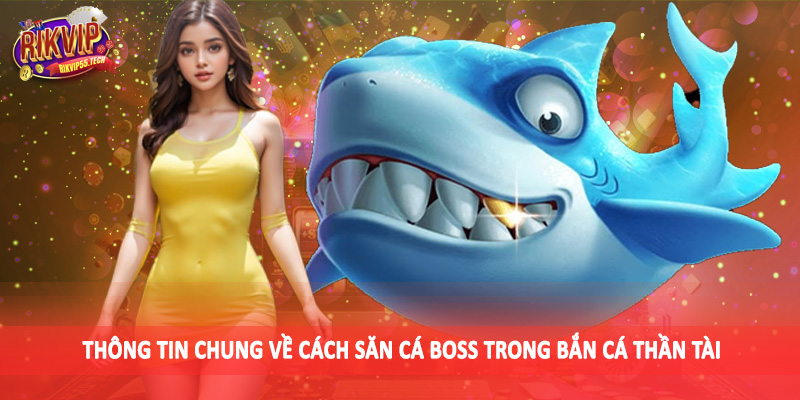 Cách Săn Cá Boss Trong Bắn Cá Thần Tài Hiệu Quả 2025 2 Thông tin chung về cách săn cá boss trong bắn cá thần tài